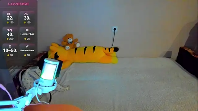 Snapshot of SaraXray chatting on 11/06/25, 01:09 SaraXray online show from 11/06/25, 01:09