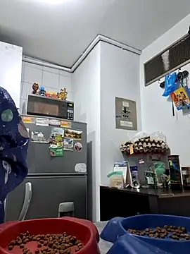 Snapshot of Hot_sophie_ chatting on 02/24/25, 02:51 Hot sophie  online show from 02/24/25, 02:51