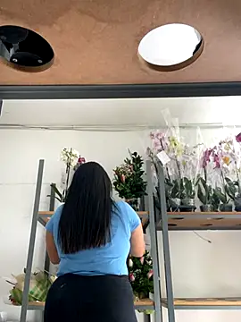 PUSHYLATE online show from 11/29/25, 01:55