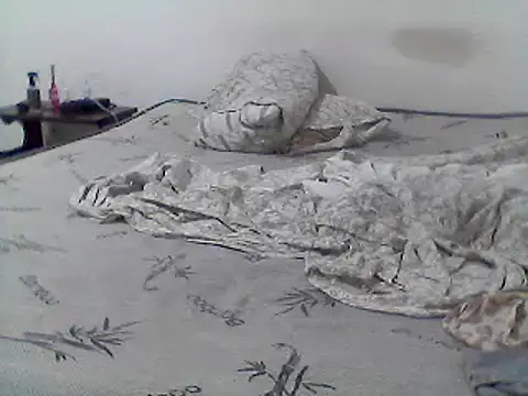 Snapshot of mariy_ chatting on 03/11/25, 04:08 mariy  online show from 03/11/25, 04:08