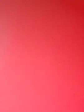 zhenzhen521 online show from 02/01/26, 02:48