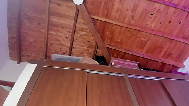 paulina soto online show from 04/19/26, 05:03