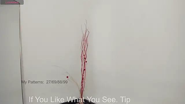 CirceJuno1 online show from 05/12/26, 10:38