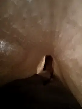 Snapshot of Shivaa- chatting on 03/21/26, 08:19 Shivaa- online show from 03/21/26, 08:19