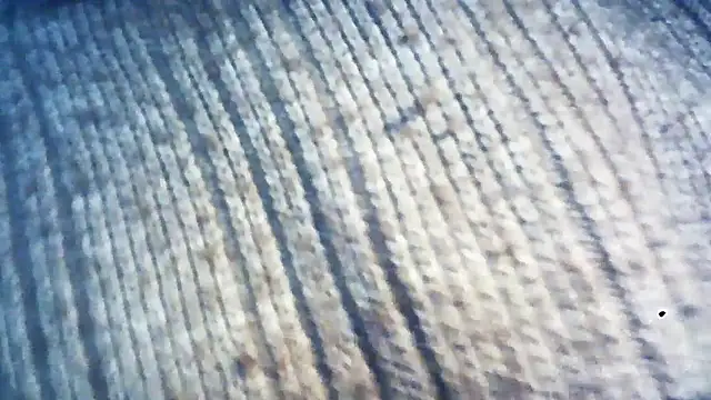 Snapshot of wedge75 chatting on 12/05/24, 02:28 wedge75 online show from 12/05/24, 02:28