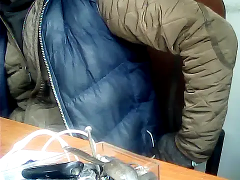 zormen355 online show from 12/01/25, 11:33