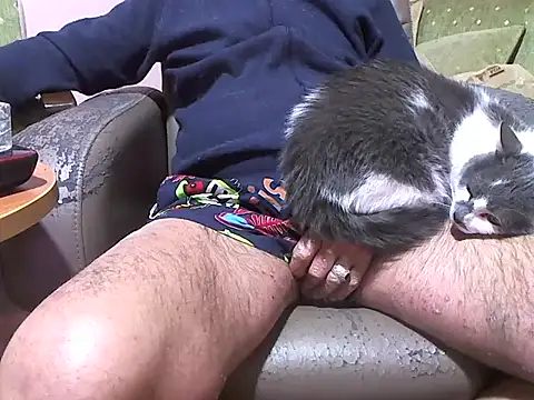 zormen355 online show from 04/08/26, 07:48