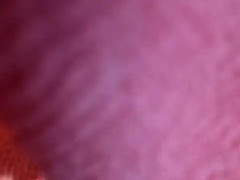 Amarok39 online show from 10/18/25, 07:49