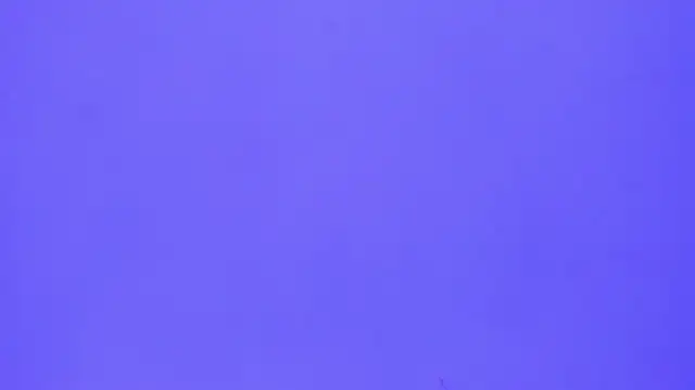 brenda sofia2 online show from 11/21/25, 03:11