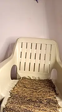 Snapshot of Jessicca_Cum chatting on 03/11/25, 06:52 Jessicca Cum online show from 03/11/25, 06:52