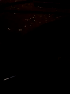FeloBad online show from 07/14/26, 03:11