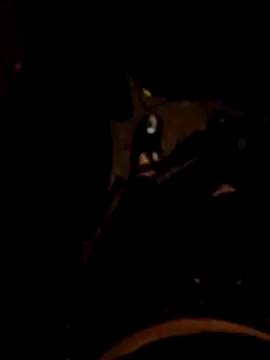 FeloBad online show from 05/26/26, 03:37