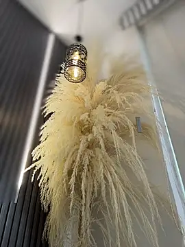 Rose-euphoria online show from 02/13/26, 09:04