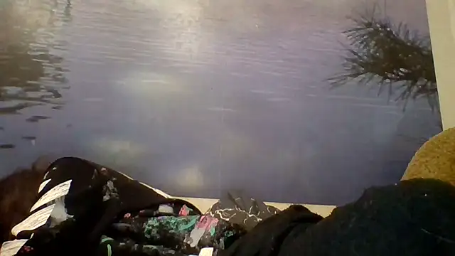 AliceTailor online show from 01/14/26, 06:28