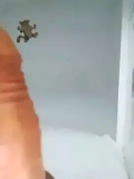 Snapshot of MATTIS11 chatting on 10/22/25, 11:47 MATTIS11 online show from 10/22/25, 11:47