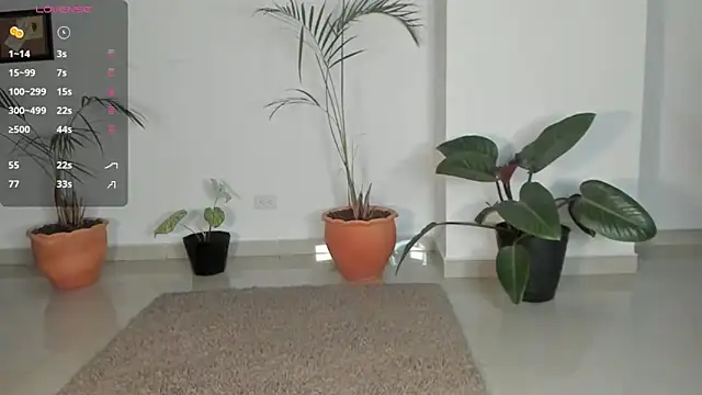 AnaHenao online show from 12/17/25, 11:54