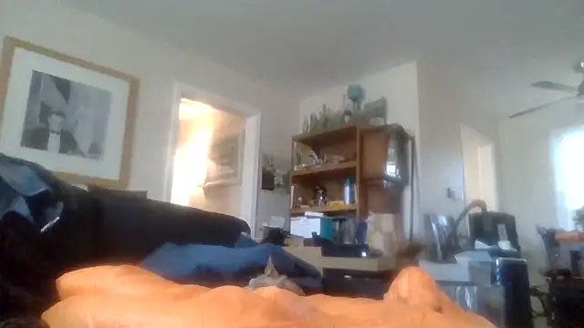 den-rock4u online show from 12/01/25, 06:42