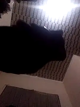 Blackpenis28 online show from 05/02/26, 01:55