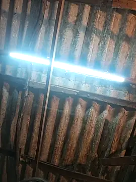 HotSexyBoudi online show from 12/17/25, 09:03