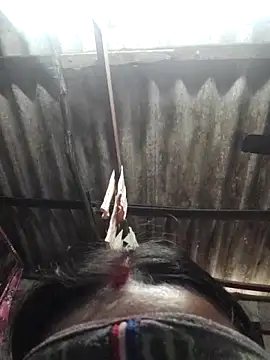 HotSexyBoudi online show from 12/05/25, 08:46