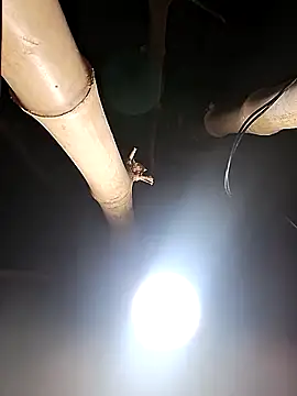 HotSexyBoudi online show from 02/26/26, 08:25