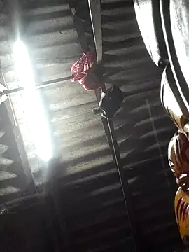 HotSexyBoudi online show from 11/12/25, 08:40