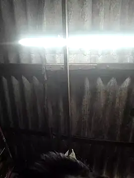 HotSexyBoudi online show from 11/26/25, 08:58