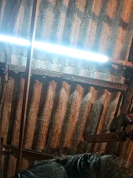 HotSexyBoudi online show from 12/15/25, 09:04