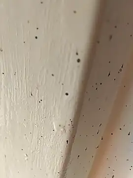 Camila erotica online show from 04/04/26, 02:45