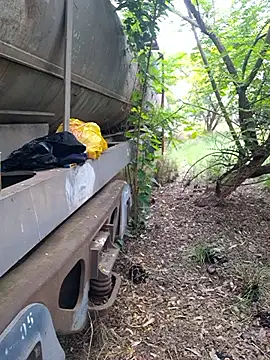 Petrossa online show from 11/12/25, 09:02