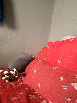 Snapshot of Petrossa chatting on 01/13/26, 11:47 Petrossa online show from 01/13/26, 11:47