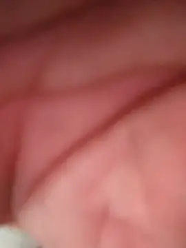 WilldoPita online show from 02/10/26, 04:17