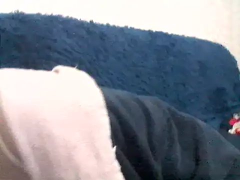 Snapshot of CarlyTreat chatting on 02/04/25, 05:34 CarlyTreat online show from 02/04/25, 05:34