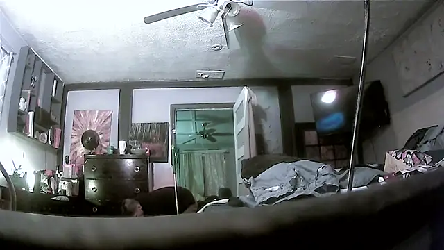 trash4cash online show from 03/17/26, 02:36