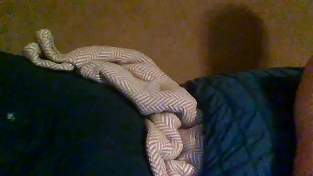 trash4cash online show from 10/31/25, 02:19