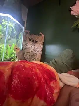 trash4cash online show from 03/07/25, 02:34