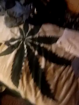 ySqmbVanbe online show from 10/10/25, 02:34