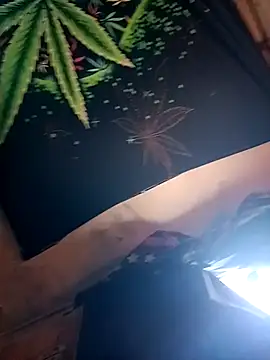 ySqmbVanbe online show from 02/09/26, 04:49