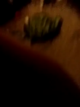 ySqmbVanbe online show from 02/16/26, 01:37