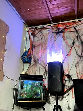 sweet kamil online show from 10/31/25, 03:03