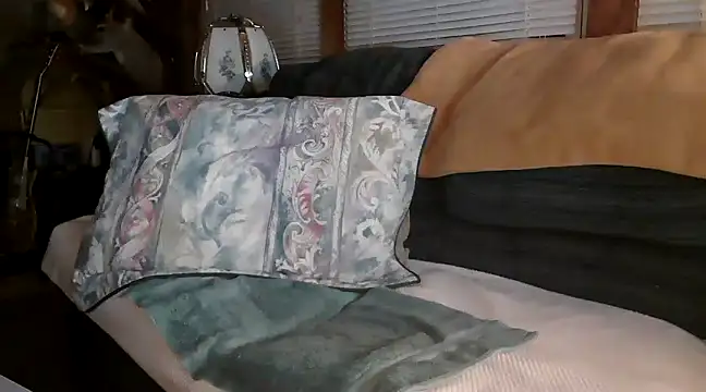 Snapshot of Bramro409 chatting on 02/22/25, 02:28 Bramro409 online show from 02/22/25, 02:28