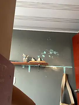 AnithaFigueroa1 online show from 01/23/25, 12:52