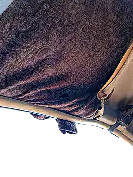 FloppyPickle4u online show from 01/19/26, 04:11