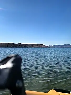 FloppyPickle4u online show from 03/08/26, 03:59