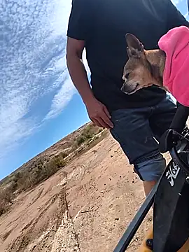 FloppyPickle4u online show from 02/12/26, 05:56