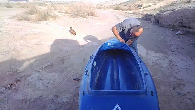 FloppyPickle4u online show from 12/20/25, 10:45