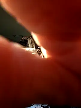 Talenjames4 online show from 04/07/26, 10:44