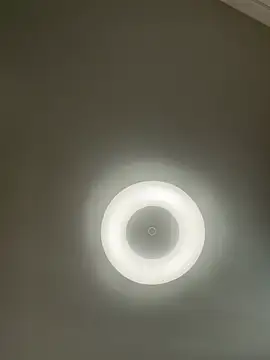 Lady MiaOlson online show from 01/06/25, 04:36