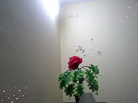 Arushisingh8888 online show from 12/18/25, 11:36