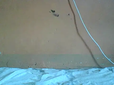 Naivegirrl online show from 02/01/26, 10:13